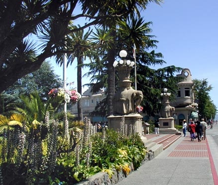 Elephants in Vina Del Mar Park, Sausalito Elephants in Vina Del Mar Park, Sausalito